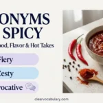 synonyms for spicy